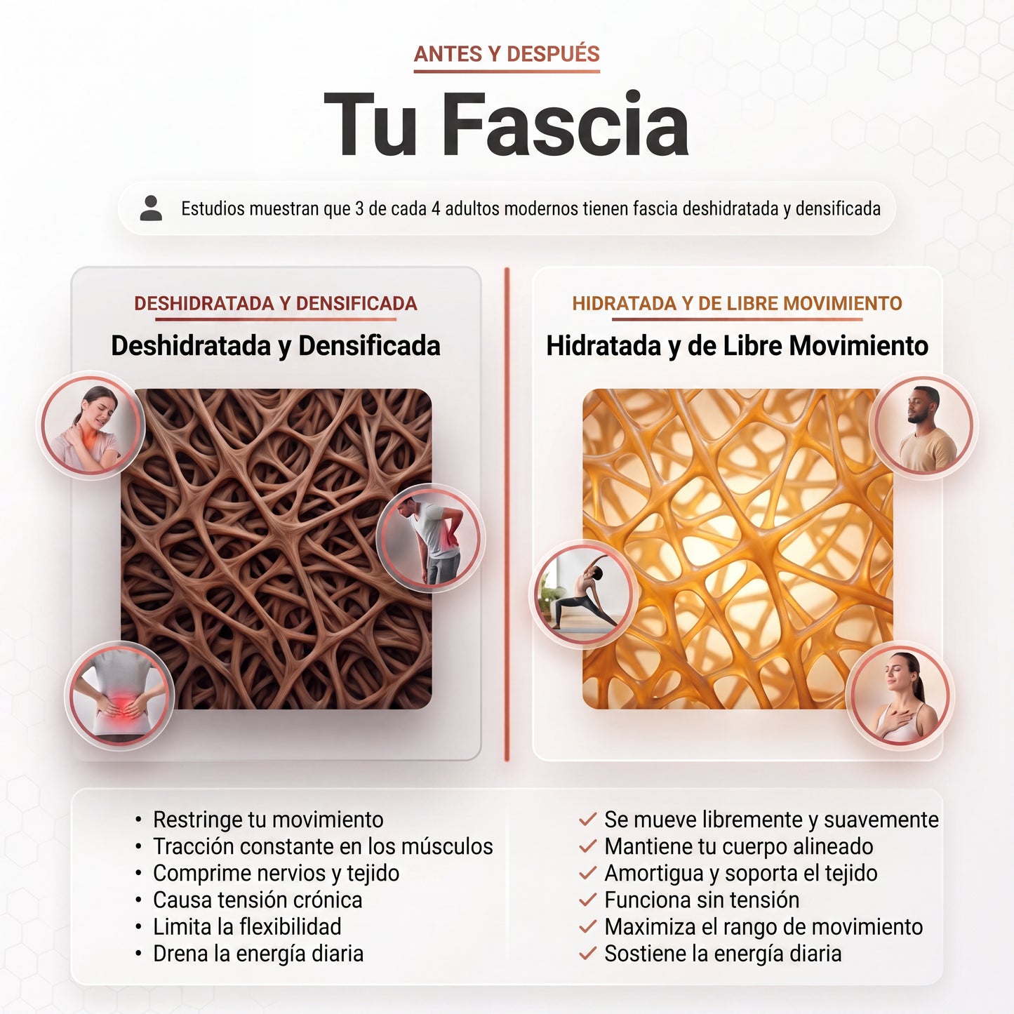 Suplemento para la Fibromialgia Reliv