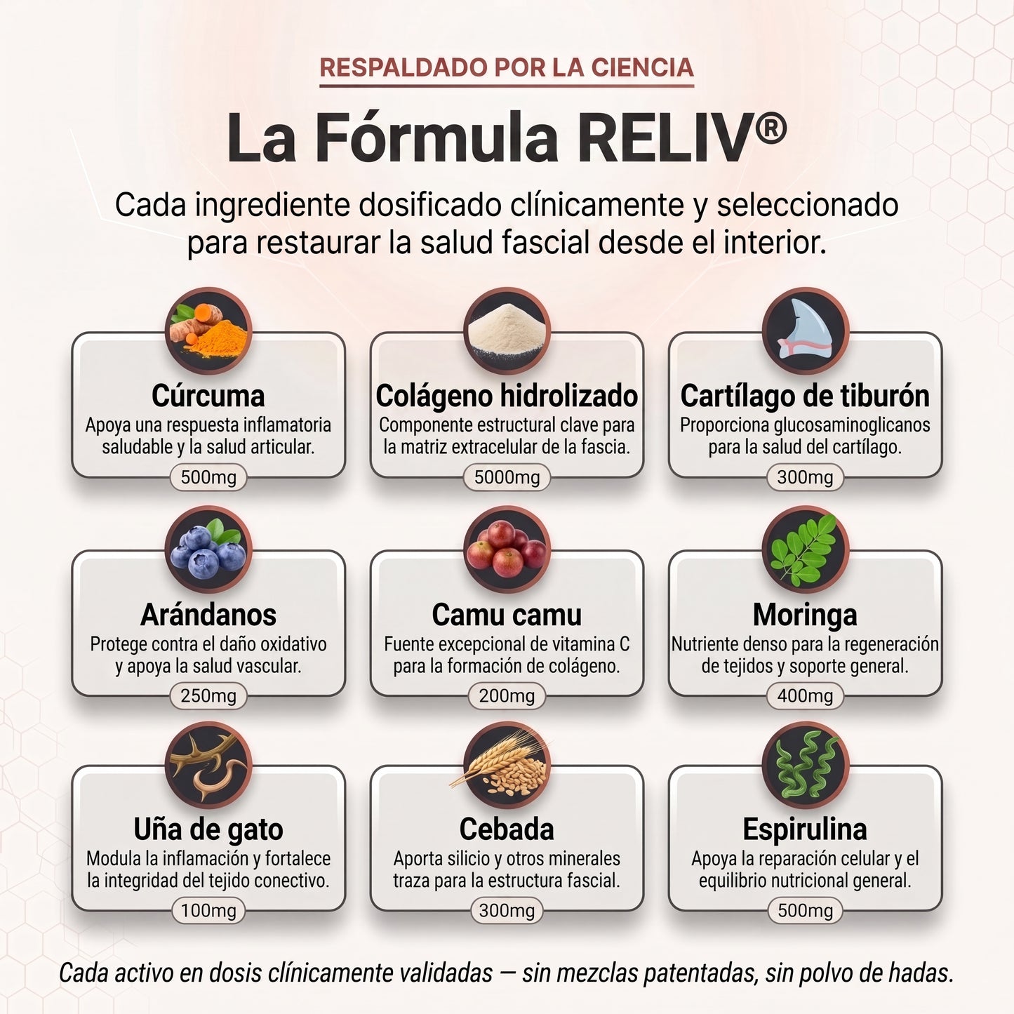 Suplemento para la Fibromialgia Reliv